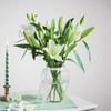 Shop Vanilla Lily Dream