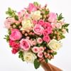 Vanille fraise Online