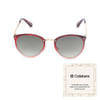 Vero Moda Darla Sunglasses Online