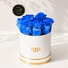 Buy Vibrant Blue Rose Arrangement for Father's Day