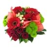 Vibrant Bunch Online