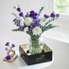 Shop Violet Vineyard