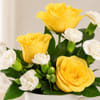 Shop Virgo Golden Bloom Mug Arrangement