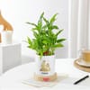 Virgo Zodiac 2 Layered Bamboo Planter