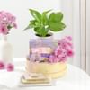 Gift Wellness And Indulgence Hamper