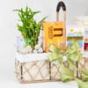 Buy Wellness & Comfort Bamboo Gift Hamper
