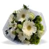 White Bunch MED Online