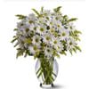 White Daisy Bouquet Online
