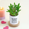 Gift Wifey Mamma Boss Bamboo Plant