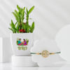 Wishing Tree Rakhi With 2 Layered Bamboo Plant Online