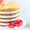 Shop Womens Day Rose And Chocolate Cake (Half Kg)