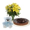 Yellow Asiatic Lilies Bouquet with Chocolate Cheesecake & Teddy Bear