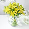 Gift Yellow Surprise