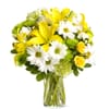 Yellow & White Mixed Flower Bouquet Online