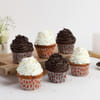 Gift Yummy Assorted Cupcakes