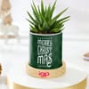 Gift Zebra Succulent Christmas Keepsake