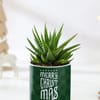 Shop Zebra Succulent Christmas Keepsake