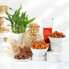 Zen Delights Gift Hamper Online