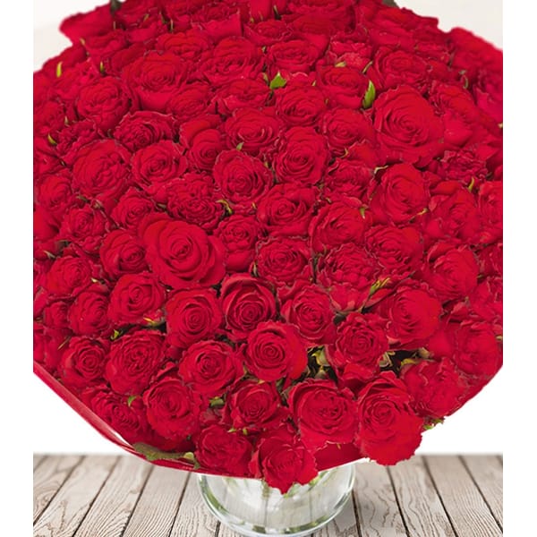 100 Dreamy Red Roses