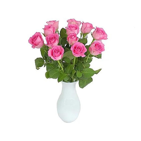 12 Pink Roses in a Gift Wrap