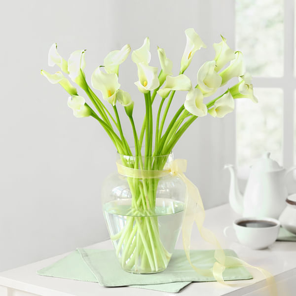 20 White Calla Lilies in Glass Vase