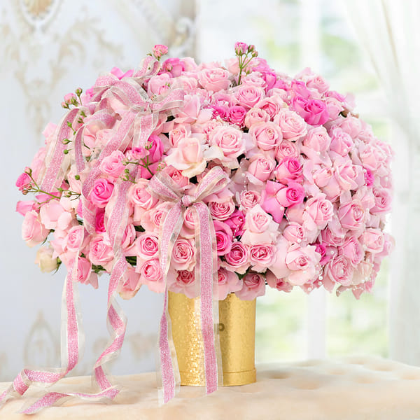 205 Blush Pink Roses For Valentine's Day