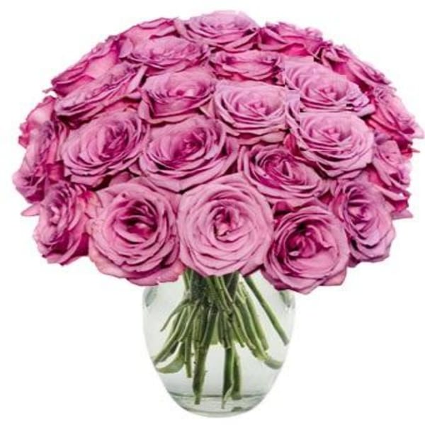 24 Purple Roses Bouquet