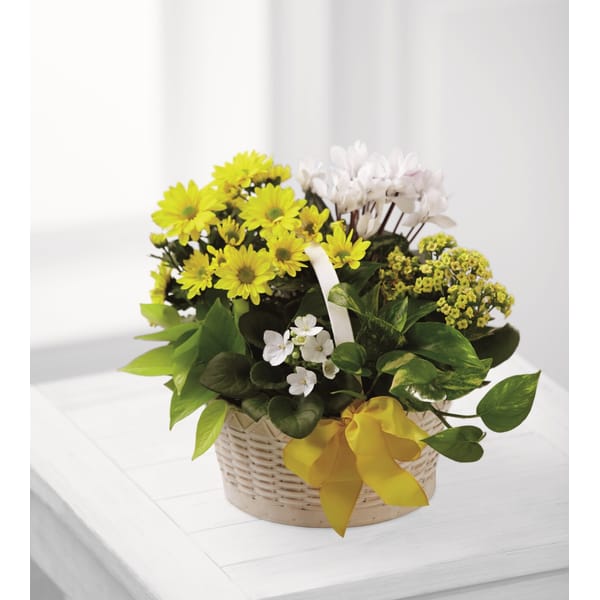 A Bit of Sunshine Basket by FTD