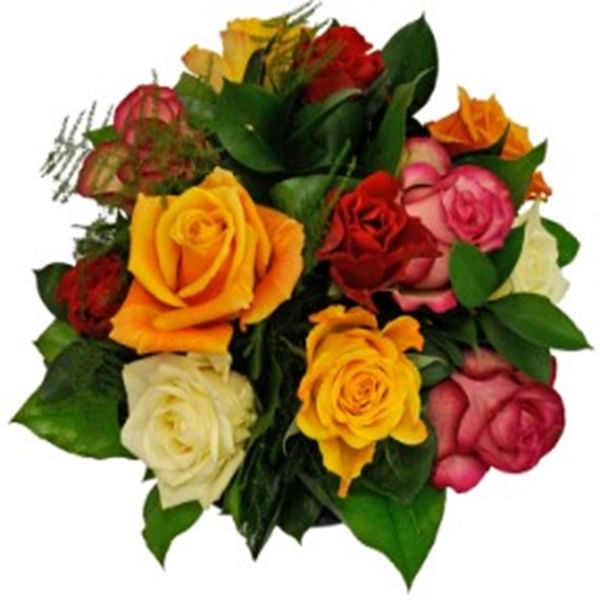 Affection - 12 Mixed Roses