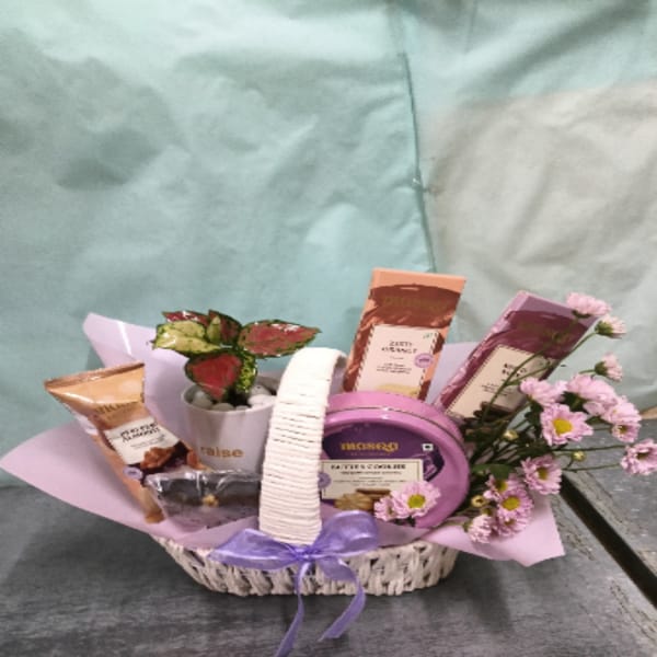 Aglaonema Pink Beauty In Blossom Planter