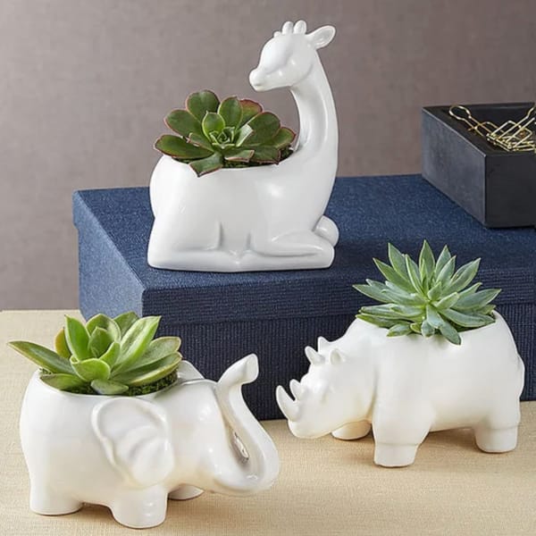 Animal Shaped Ceramic Planters With Succulents - Set Of 3