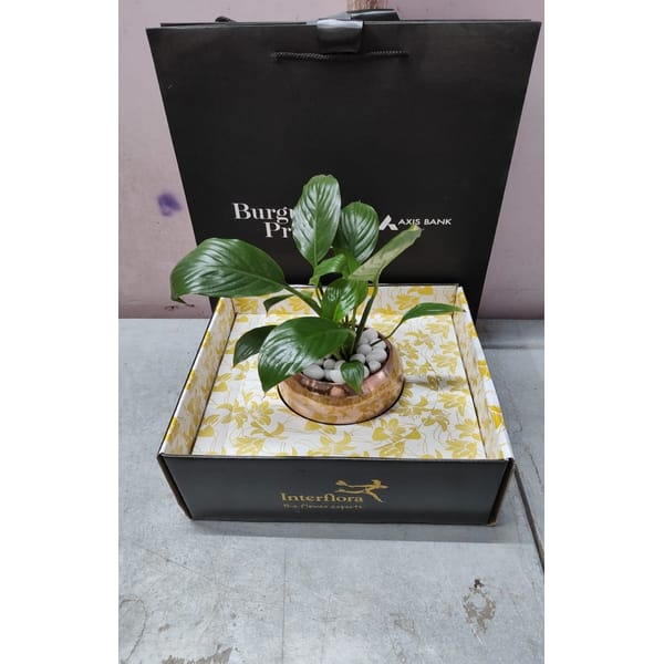 Axis Bank Burgundy Hamper