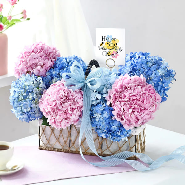 Baby shower celebration  wishes