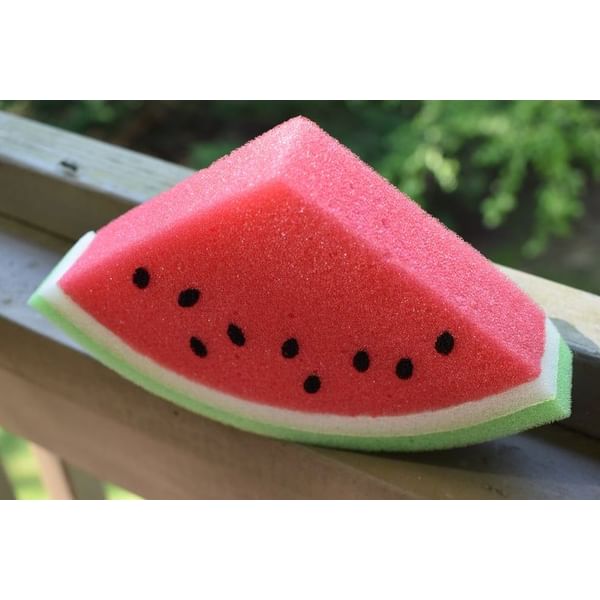 Bath Sponge - Foam - Single Piece