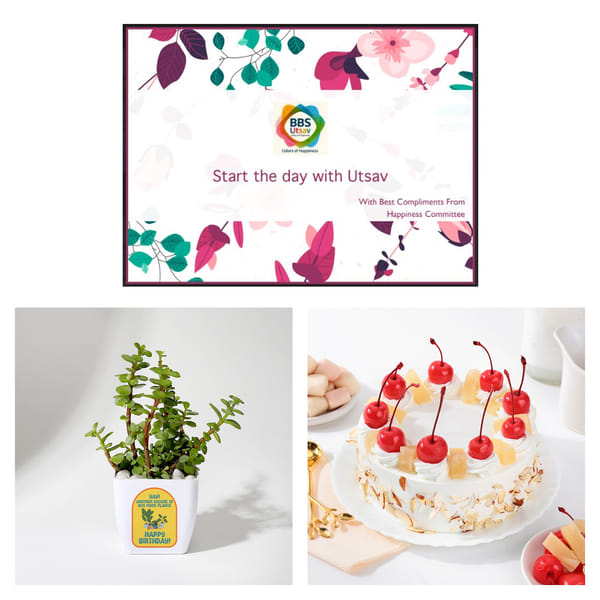 Bechtel cake and plant combo