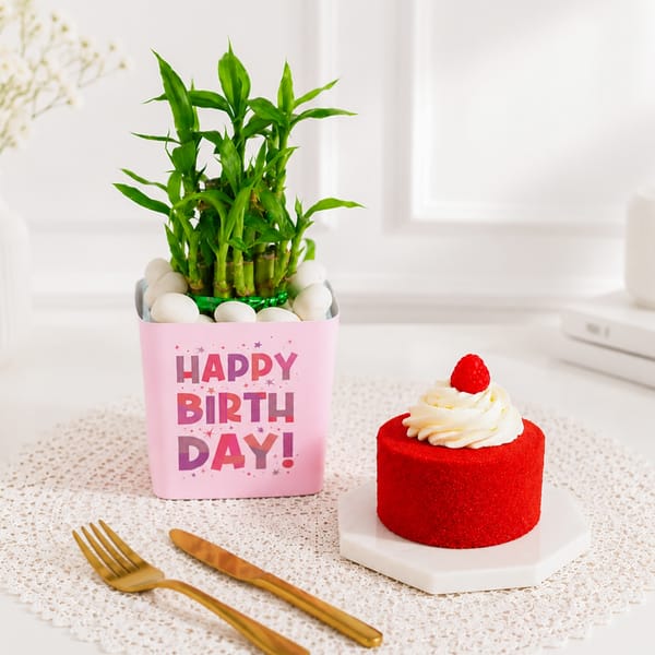 Birthday Bamboo Plant with Red Velvet Cake