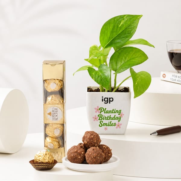 Birthday Planter and Chocolate Combo