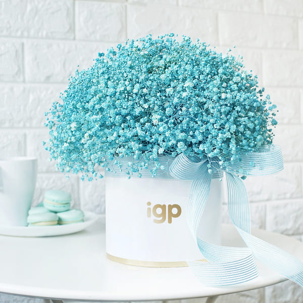 Blue Gypsophila Luxe Arrangement