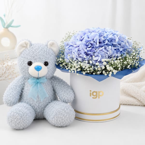Blue Hydrangea & Teddy Combo