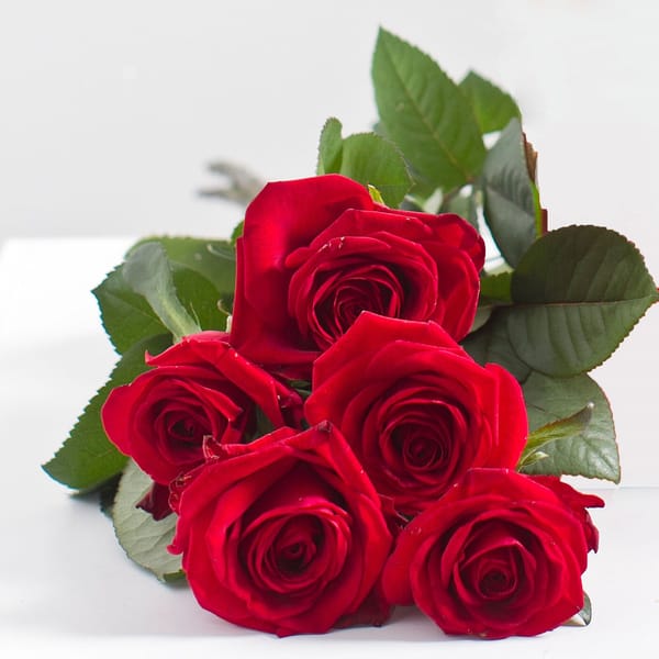 Buy/Send Bouquet of 5 Red Roses Online | IGP | ID1354085