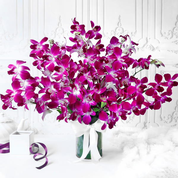 Buy/Send Bouquet of Purple Orchids in Glass vase (10 Stems) Online ...