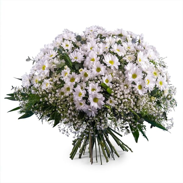 Bouquet of White Margaritte Daisies
