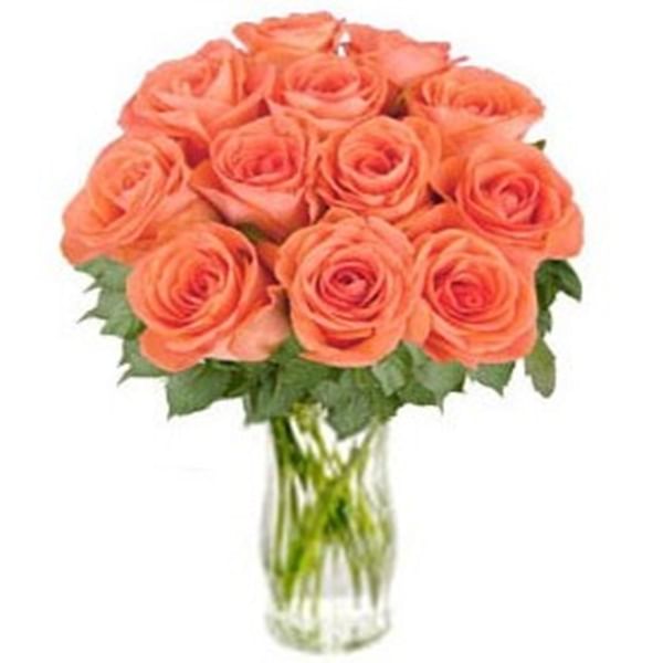 Bunch of Orange Roses Bliss (without vase)
