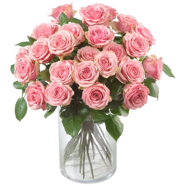 Bunch of Pink Roses