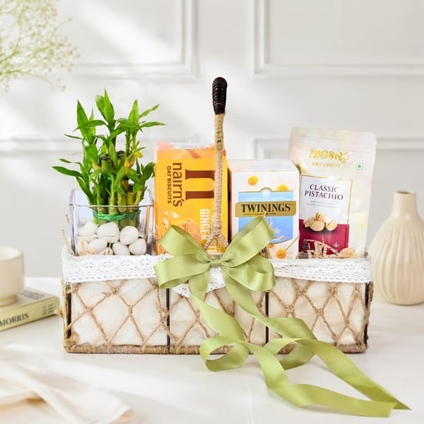 Calm & Indulgence Bamboo Plant Gift Hamper