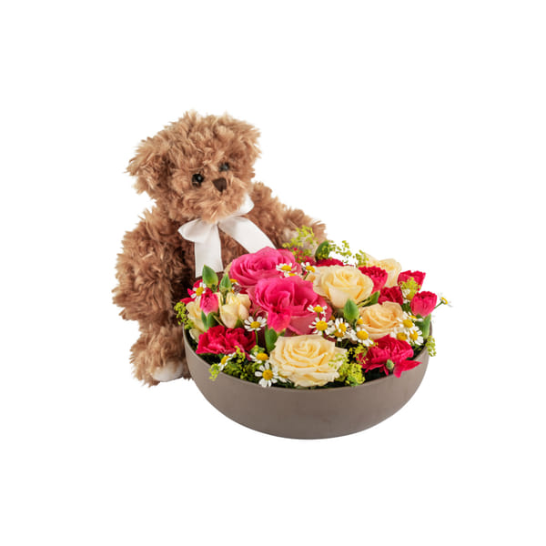 Celebrate and Teddy 250360