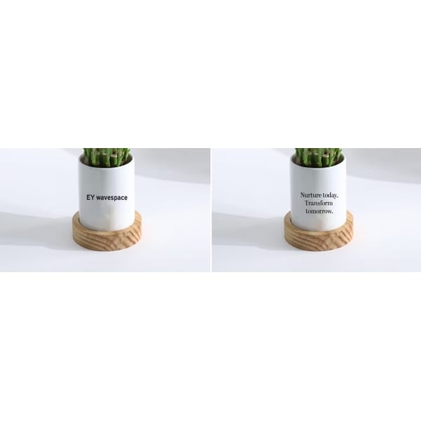 Ceramic planter with Aglonema Pink Beauty - Ernst & Young LLP