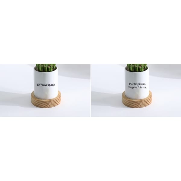 Ceramic planter with Jade plant -Ernst & Young LLP