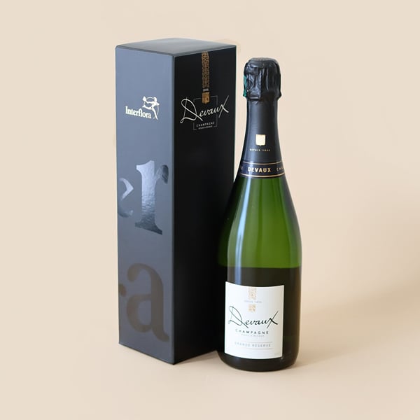 Champagne