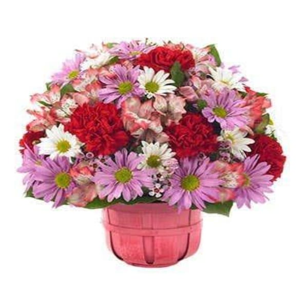 Charming Carnations And Daisies Arrangement